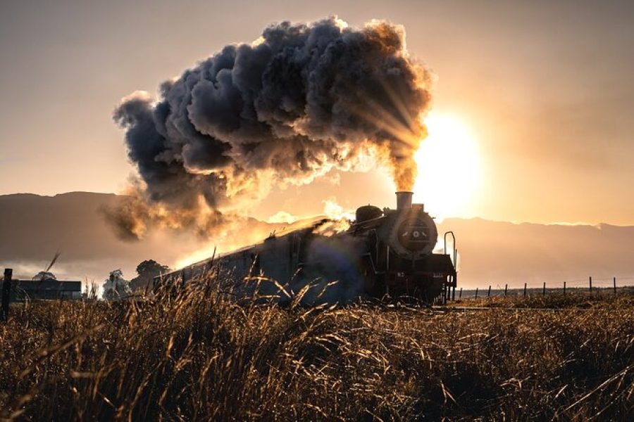 Experience Steam Train to Elgin Railway Market