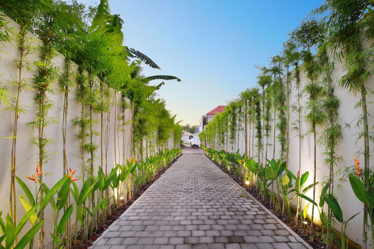 Urban Oasis Apartment